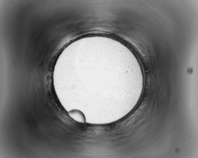 X0000103431355200810101033