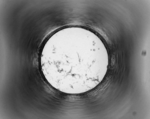 X0000103431356200810101032