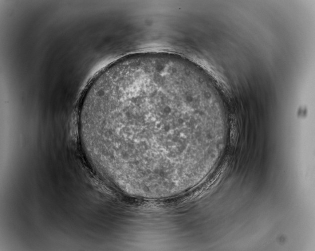 X0000103431358200810101032