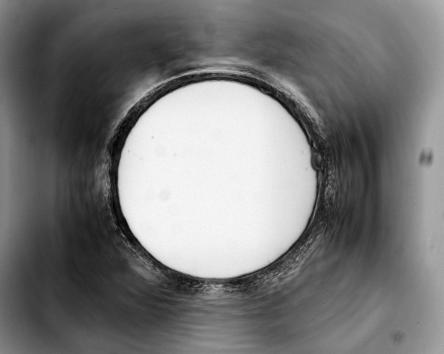 X0000103431360200810101032