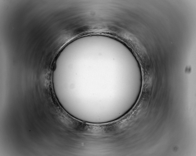 X0000103431361200810101032