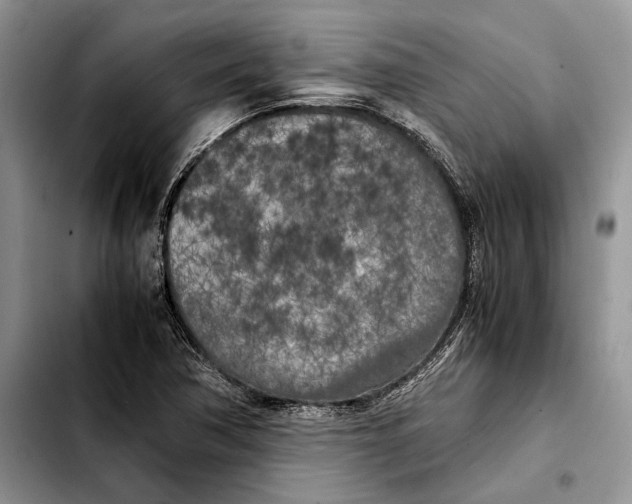 X0000103431362200810101032