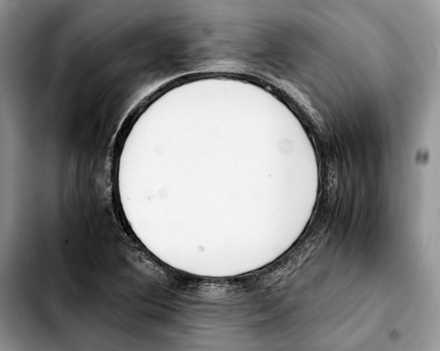 X0000103431364200810101032