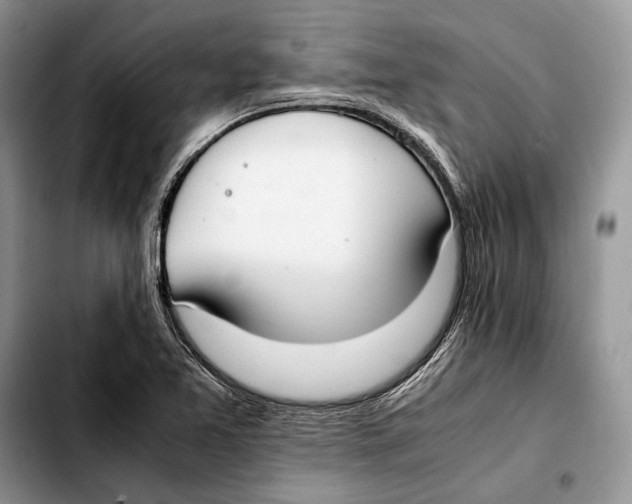 X0000103431365200810101032