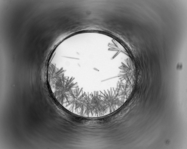 X0000103431367200810101032