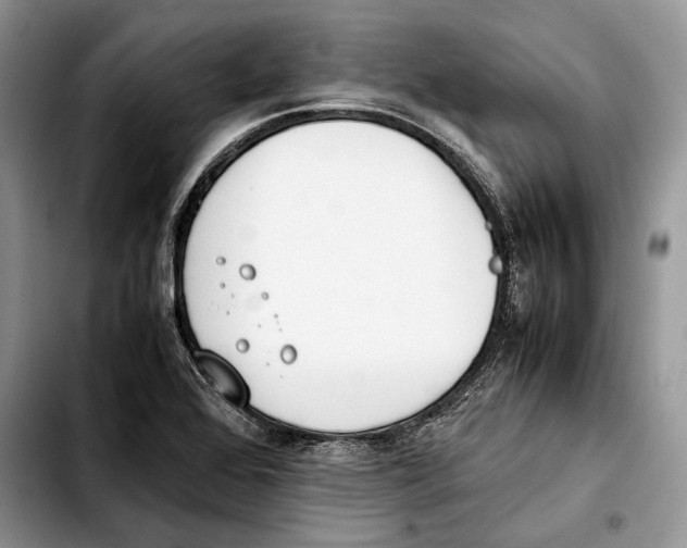 X0000103431368200810101032