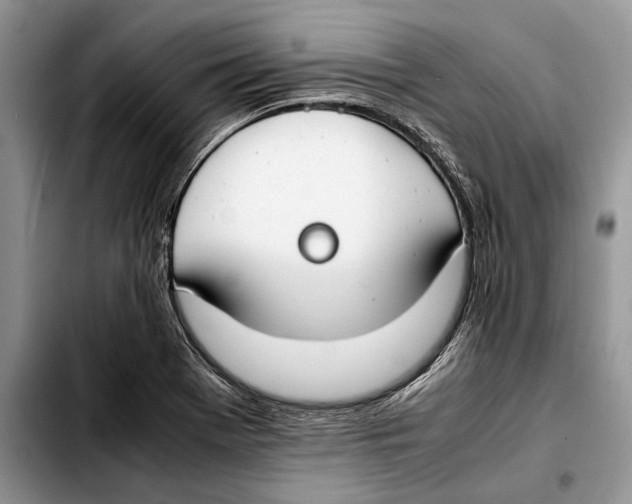 X0000103431369200810101032