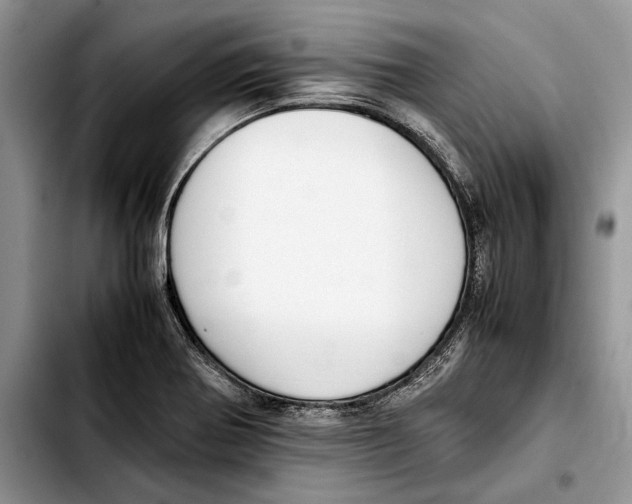 X0000103431370200810101032