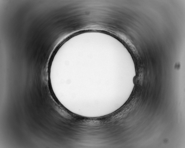 X0000103431372200810101032