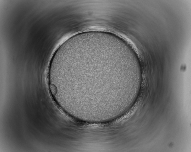 X0000103431373200810101032