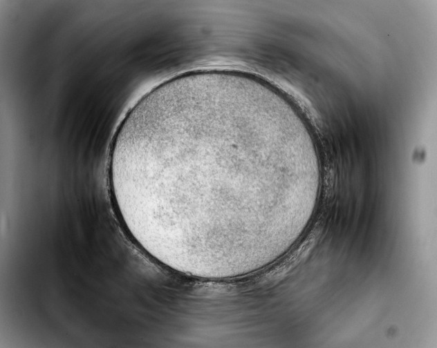 X0000103431374200810101032
