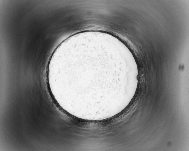 X0000103431375200810101032