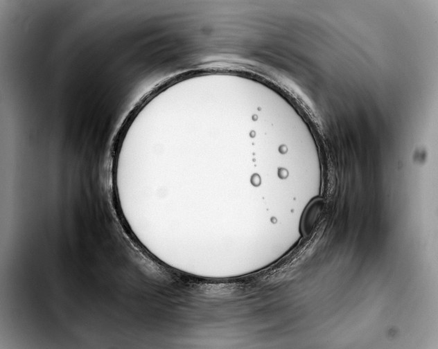 X0000103431376200810101032