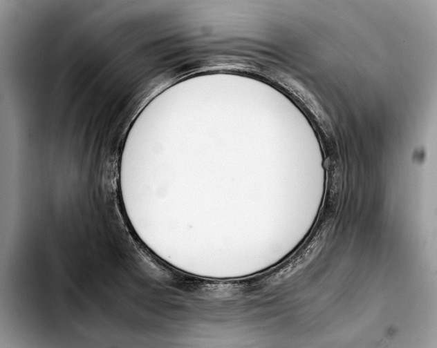 X0000103431377200810101032
