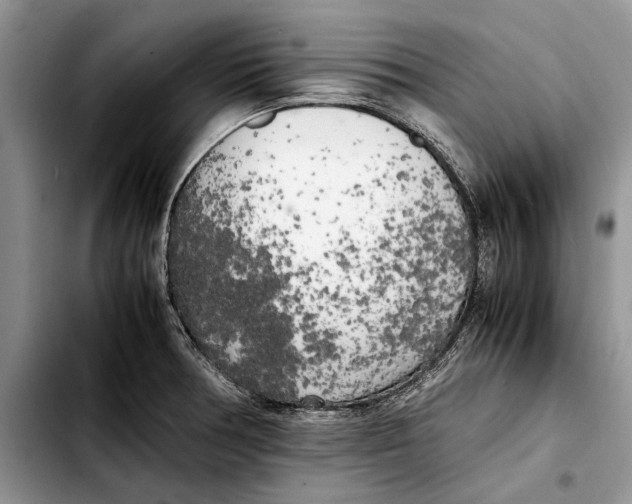 X0000103431378200810101032