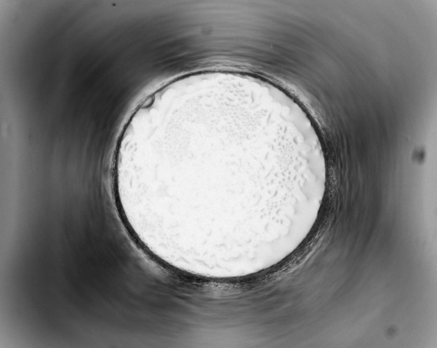 X0000103431379200810101032