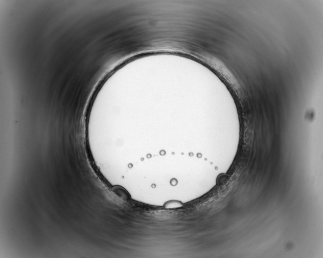 X0000103431380200810101032