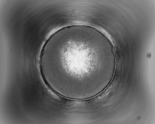 X0000103431381200810101032