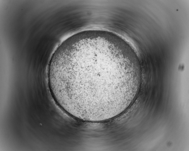 X0000103431382200810101032