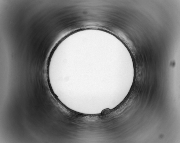 X0000103431384200810101032
