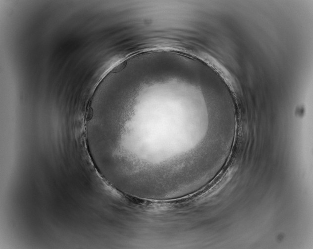 X0000103431385200810101032