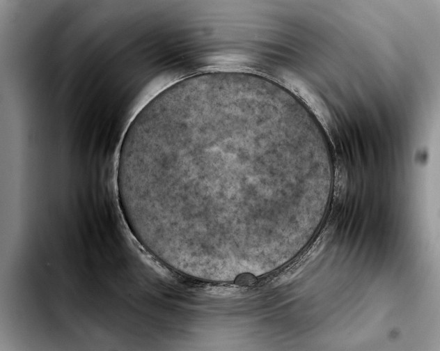 X0000103431386200810101032