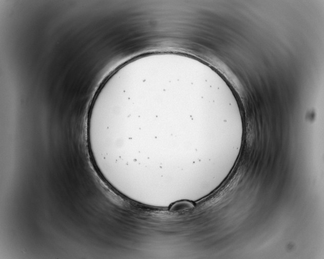 X0000103431388200810101032