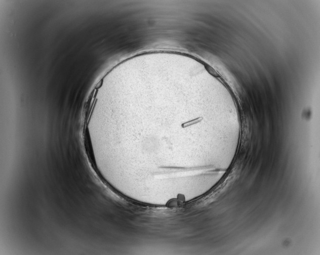 X0000103431390200810101032