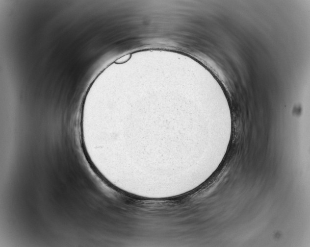 X0000103431391200810101032