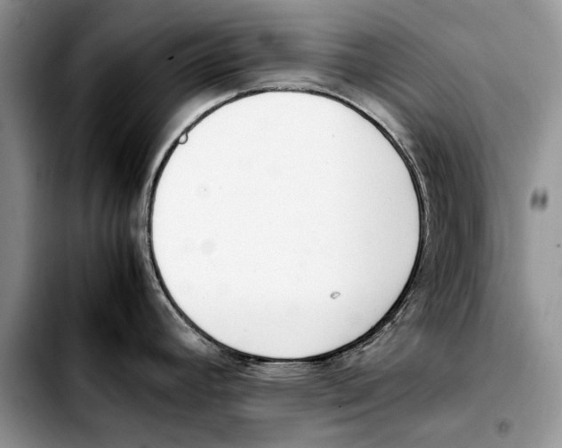 X0000103431392200810101032