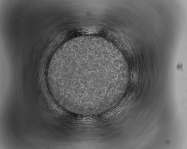 X0000103431393200810101031