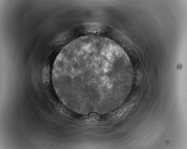 X0000103431394200810101031