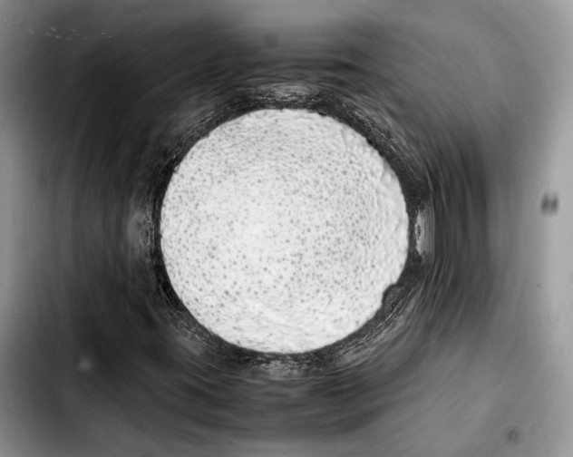 X0000103431395200810101031