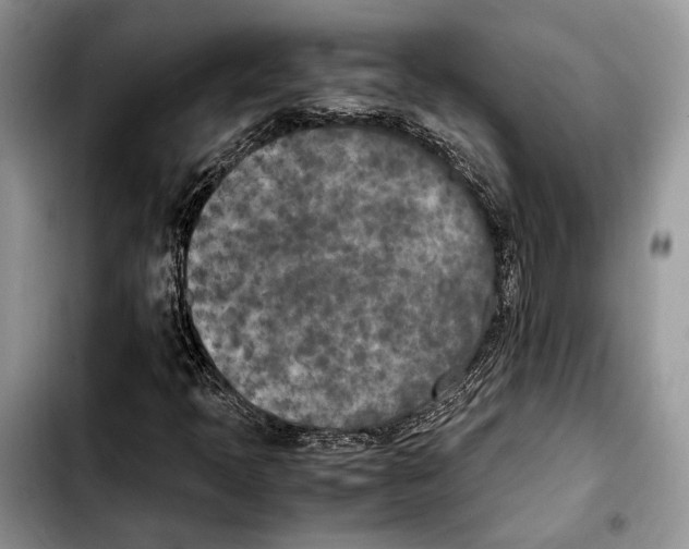 X0000103431397200810101031