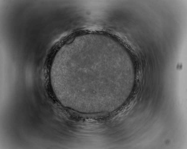 X0000103431398200810101031