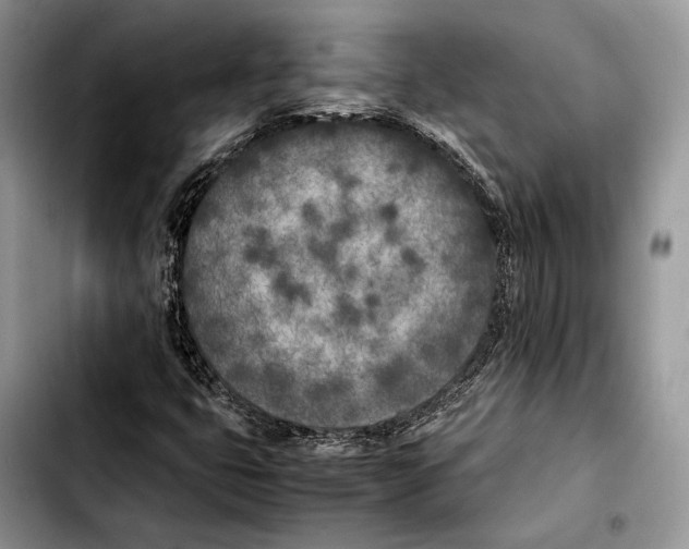 X0000103431399200810101031