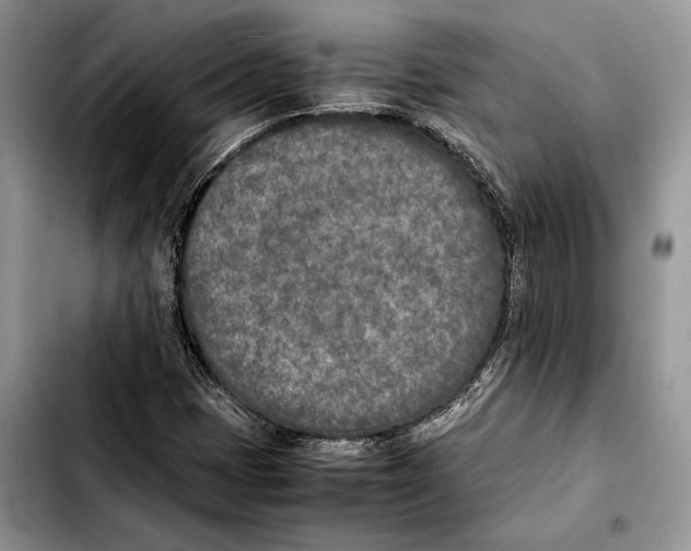 X0000103431401200810101031