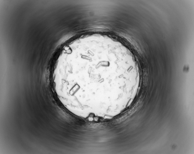 X0000103431402200810101031
