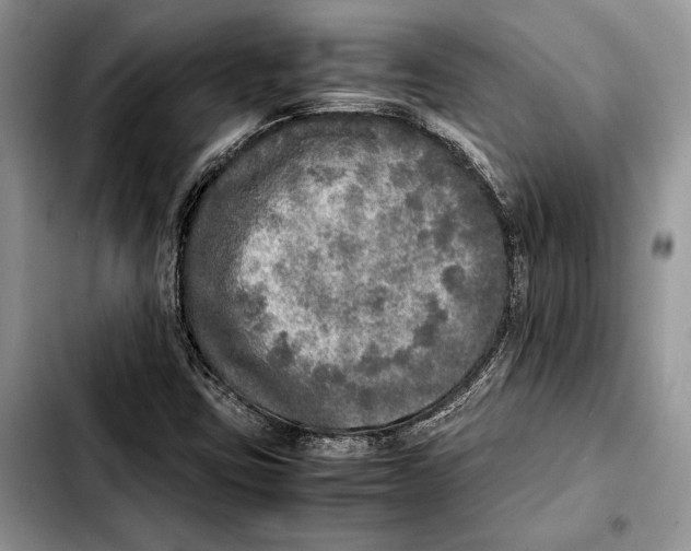 X0000103431403200810101031