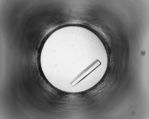 X0000103431404200810101031