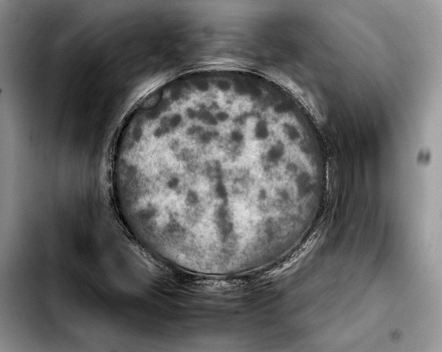 X0000103431405200810101031