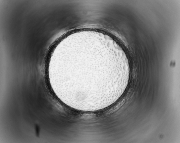 X0000103431406200810101031