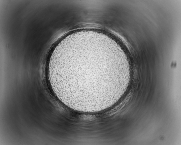 X0000103431407200810101032