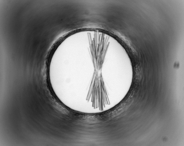 X0000103431408200810101032