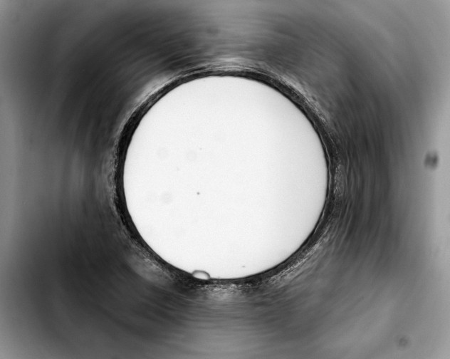 X0000103431410200810101032