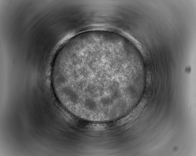 X0000103431411200810101032