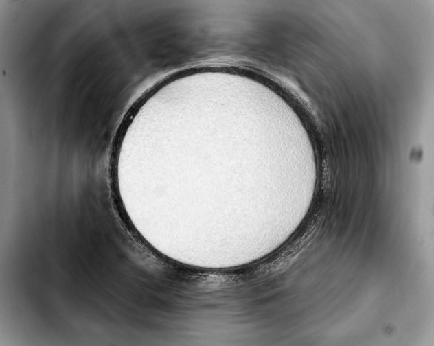 X0000103431412200810101032