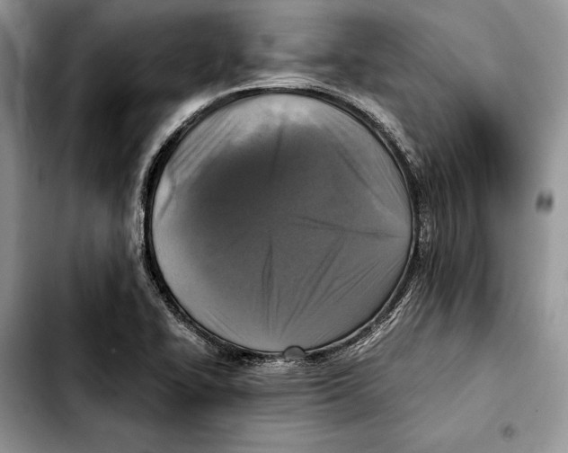 X0000103431414200810101032