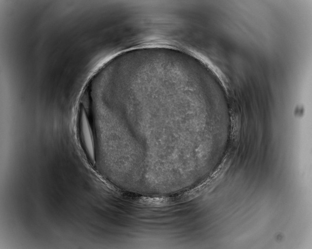 X0000103431415200810101032