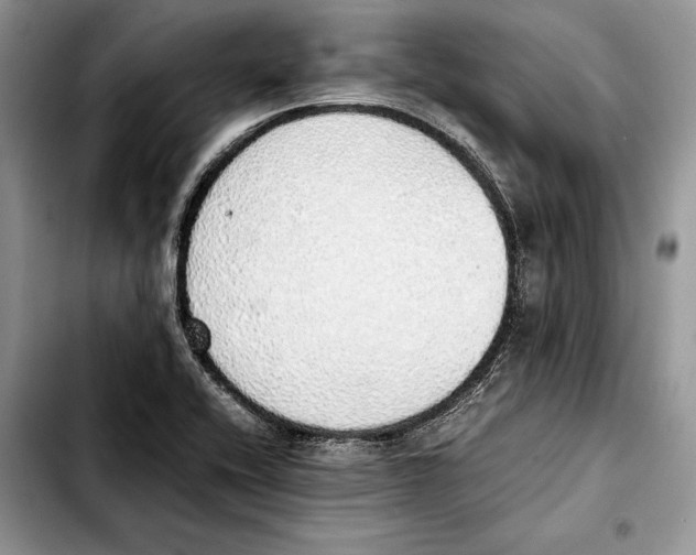 X0000103431416200810101032